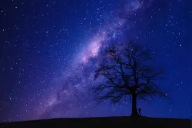 心理学：对方“不回你微信”，就是最直白的答案图片