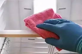 蟑螂很怕这东西，家里建议放上！现在正是杀蟑螂的好时间图片