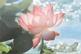 我以为忘了想念，而面对夕阳图片