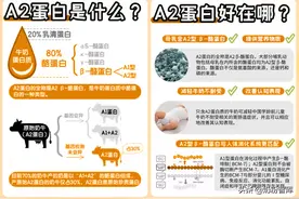 儿童奶粉怎么选？伊利QQ星、君乐宝小小鲁班等近30款给你答案图片