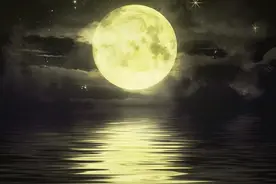 人人平等的内涵图片