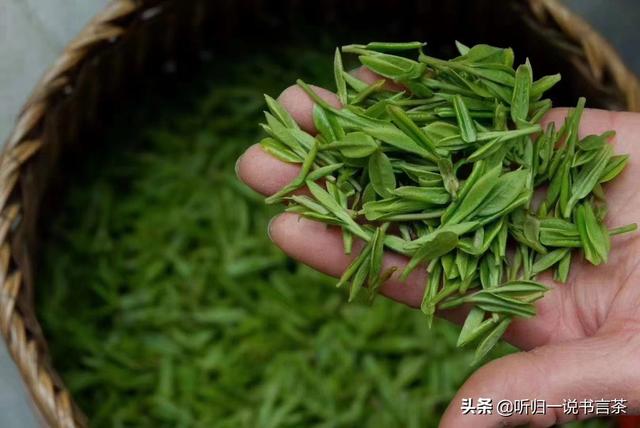 每天1分钟学习茶知识（21）购买西湖龙井时容易入的坑