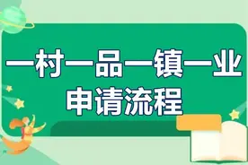 一村一品一镇一业申请流程 一村一品一镇一业补贴政策图片