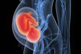 正常的子宫有多大？子宫前置、后置又是怎么回事？医生帮解析图片