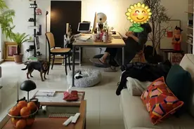 10年家居设计师测评，米家、bMOLA空气净化器有何特别关键看这点图片