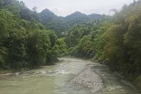 人到中年，脸皮还是厚点好图片