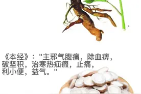 八种“白芍”的中药组合用法图片