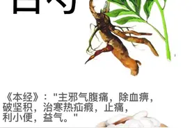 八种“白芍”的中药组合用法图片