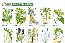 带你认识274种中药材，老祖宗留下的宝藏… ​​​图片