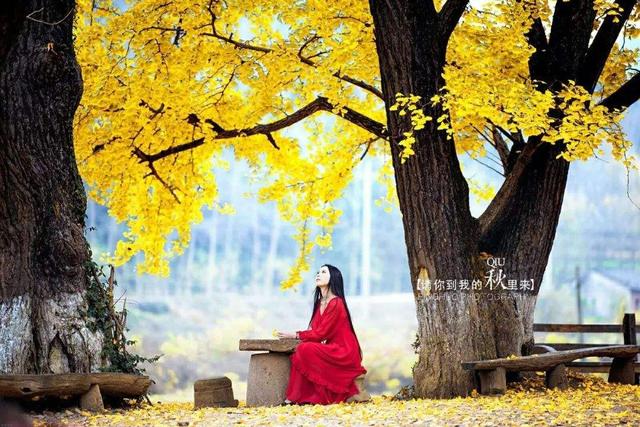 诗经《草虫》：晓看天色暮看云，行也思君，坐也思君