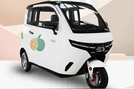 小三轮、电动篷车品牌怎么选？有资质能上牌，这5个品牌名列前茅图片