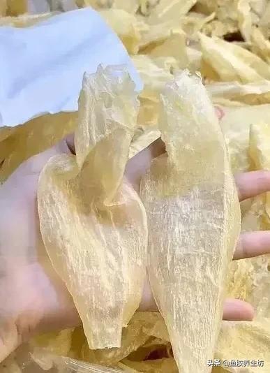 人工合成花胶 人工合成花胶可以吃吗