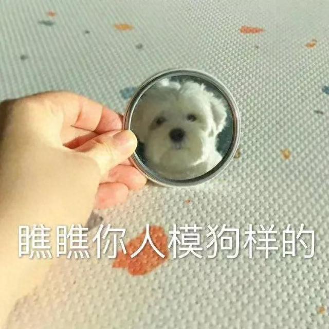 微博借钱逾期核查个人信息，90后网贷负债情况 配图05
