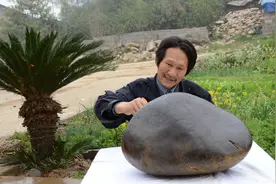 湖北宜都一农民梦想成真，捡一块伟人像奇石，有人出18万不卖图片