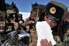 母狼被雪压奄奄一息，战士空手刨雪救狼，满手是血敬畏生命图片