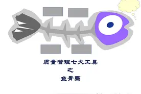 0357管理工具 质量管理七大工具之鱼骨图-22页图片