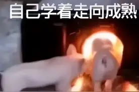 茶百道换新LOGO，终于抛弃垃圾桶了！图片