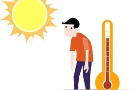 过了夏至不栽田，5种农作物夏至后不再适宜播种，农民们要注意图片