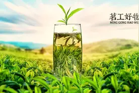 六大茶类介绍——绿茶，鲜爽的绿衣舞者图片
