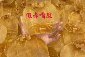 市面上的各种假赤嘴胶、假鳘鱼胶图片