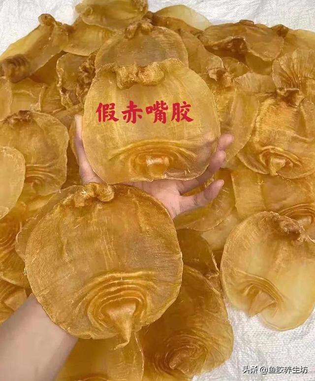 赤嘴鳘鱼胶真假 2026年赤嘴鱼胶的口感