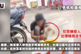 6人宰杀烹食国家一级保护动物蜂猴，判刑！图片