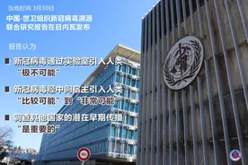 俄证实美国曾进行蝙蝠病毒实验，新冠起源再引热议图片