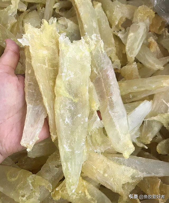 假鱼胶和真鱼胶的区别 假鱼胶炖出来的样子