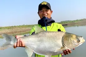 网红邓刚：辞掉年薪20万的工作到名扬全国，他到底靠的是什么？图片