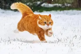 面瘫经历+注意事项图片