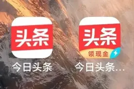 今日头条与今日头条极速版图片