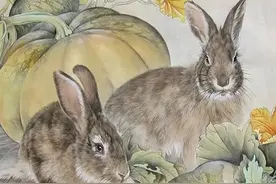 属兔的人的一生事业运势如何，如何找到自己的个性魅力图片