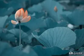 为了小姑子陪嫁礼的数额，老公一家人暴露出丑恶的嘴脸图片