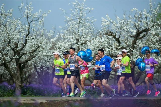 展讯 | 打开新时代美丽江苏建设的生动画卷——“美丽江苏”摄影大展开幕