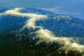 秦岭有没有野生豹子和老虎？为什么？图片