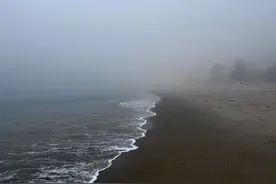 高中英语常考固定搭配汇总整理（二）图片