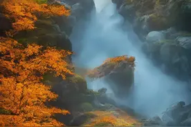 取消英语，细思极恐图片