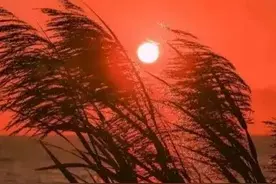 爱是真的，不爱了也是真的，缘起缘灭终有时……图片