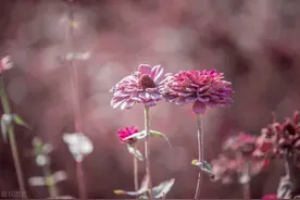 2022年天津市机关事业单位退休人员死亡待遇是多少？图片