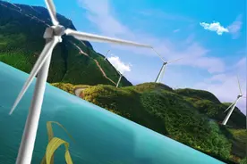 跟着鸟儿游河北 | 张家口涿鹿：桑干河畔天鹅舞图片
