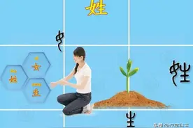 “姓”“氏”“名”“字”的区别，“待字闺中”的“字”义是什么图片