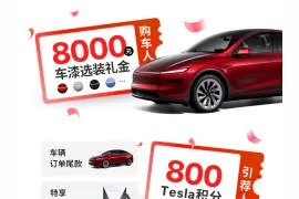 特斯拉中国推出6月车主引荐奖励政策，购车可获8000元车漆选装礼图片
