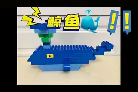 地球上最成功的哺乳动物——鲸鱼图片