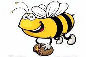 说蜂产品，不能漏了蜂胶图片