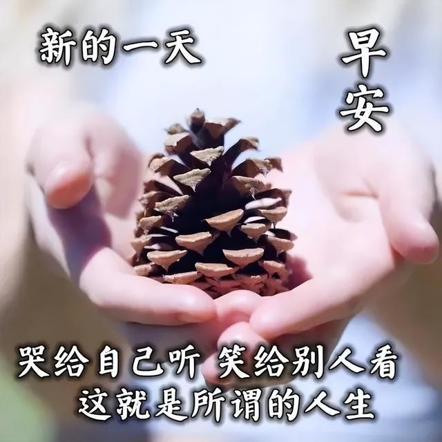「2022.05.10」早安心语,正能量最美语录分享 早上好励志暖心短句