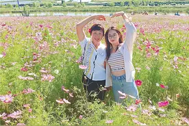 赴一场家门口的赏花盛宴图片