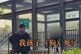 1岁小孩被狗扑倒，父亲当众将狗摔死！狗主人痛哭：我的“孩子”死了图片
