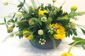 人生，一晃就老了图片