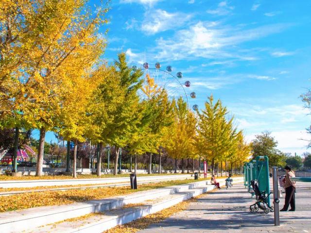 最新实拍！烟台鱼鸟河“顶级秋色”加载中