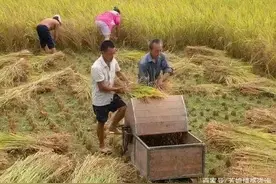 70后，回不去的故乡图片